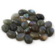 25 Pcs Amazing Labradorite Faceted Cabochon Spectrolite - Pear Shape Multi Fire Loose Gemstone -14mmx10mm-12mmx8mm  LGS130 - Tucson Beads