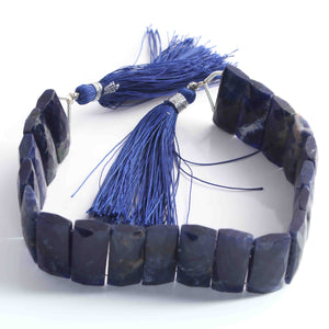1 Strand Sodalite Fancy Chicklet shape Beads - Sodalite Faceted Rectangle Beads 21mmx9mm 7 Inches BR1038 - Tucson Beads