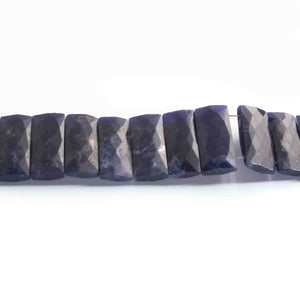 1 Strand Sodalite Fancy Chicklet shape Beads - Sodalite Faceted Rectangle Beads 21mmx9mm 7 Inches BR1038 - Tucson Beads