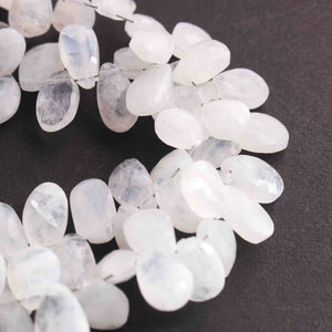 1  Strand White Rainbow Moonstone  Faceted Briolettes - Pear Shape  Briolettes  9mmx6mm-15mmx8mm 10 Inches BR3017 - Tucson Beads