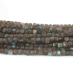 1 Strand Labradorite  Faceted Cube Briolettes - Box shape Beads 6mm -10 nches BR0636 - Tucson Beads