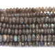 1 Strand Labradorite Faceted Rondelle- Labradorite Rondelle  10mm-11mm 8 inches BR3153 - Tucson Beads