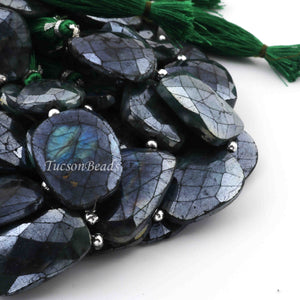 1 Strand Excellent Quality Green Labradorite Silver Coated Briolettes- Assorted Shape Briolettes - 29mmx20mm - 8 Inches- BR0243 - Tucson Beads