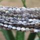 1 Strand Gray Moonstone Silver Coated Faceted Coin Shape Beads - Coin Shape Briolettes 8mmx8mm -12mmx12mm 15 Inches BR287 - Tucson Beads