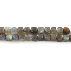 3 Strands Labradorite Faceted Cube Beads Briolettes -  Labradorite Box Shape Beads 5mm-6mm 10 Inches BR3386 - Tucson Beads