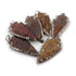 6 PCS Jasper Arrowhead Oxidized Black Plated Single Bail Pendant - Electroplated With Black Edge - 51mmx26mm-58mmx27mm AR268