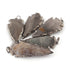 5 PCS  Grey Jasper Arrowhead  Black Plated Pendant -  Electroplated With Edge 54mmx25mm-67mmx27mm AR240