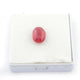 1 Pc 10 Ct. Natural Ruby Faceted Gemstone - Ruby Loose Gemstone - Brilliant Cut - Jewelry Making  14mmx10mm  LGS666 - Tucson Beads