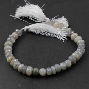 1 Strand Shaded Gray Moonstone Silver Coated Faceted Rondelles - Roundel Beads 8mm-9mm 8 Inches BR2040 - Tucson Beads
