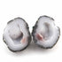 Natural Big Tabasco Geode With Agate Druzy - Geode Split In Half Rare Banded 29mmx23mm Matching Pair  #018