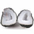 Two Birds Tabasco Baby Geode With Agate Druzy - Tiny Geode Split In Half Rare Banded 34mmx26mm Matching Pair  #040