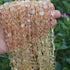 1 Strand Citrine Smooth Coin Shape Briolettes - Citrine Plain Coin Briolettes 7mm-9mm 14 Inches BR2888