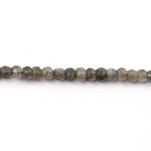 4 Long Strands Grey Moonstone Faceted Rondelles - Gray Moonstone Roundelle Beads 4mm 13 Inches BR1171 - Tucson Beads