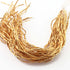 10 Strands Pipe Beads AAA Quality 24k Gold Plated 8mmx2mm  8 inch Strand Gpc497