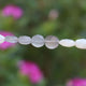 1 Strand Shaded Moonstone Faceted Coin Briolettes - Shaded Moonstone Coin Beads 10mm 8.5 inches BR1451 - Tucson Beads
