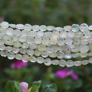 1 Strand Prehnite Faceted Briolettes - Prehnite coin Shape Beads 7mm-9mm 8.5 Inches BR1012 - Tucson Beads