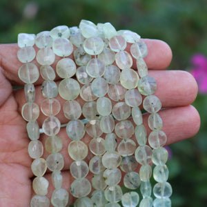 1 Strand Prehnite Faceted Briolettes - Prehnite coin Shape Beads 7mm-9mm 8.5 Inches BR1012 - Tucson Beads
