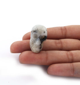 1 Pc Skull 2inch, Gemstone Skull, Carved Gemstone Skull, Crystal skull, witchcraft crystal, healing crystals and stone (YOU CHOOSE) HS079 - Tucson Beads