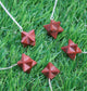 2 PCS Red Jasper Merkaba Star Pendulum Reiki Healing Meditation-Reiki Point Healing Natural Yoga Gift Love Chakra HS286 - Tucson Beads