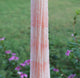 5 Strands Shaded Pink Opal Faceted Rondelles--Finest Quality Pink Opal Roundle 3mm-4mm 13 Inch Long RB400 - Tucson Beads