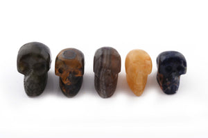 Skull 2inch, Gemstone Skull, Carved Gemstone Skull, Crystal skull, witchcraft crystal, healing crystals and stone (YOU CHOOSE) HS078 - Tucson Beads