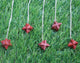 2 PCS Red Jasper Merkaba Star Pendulum Reiki Healing Meditation-Reiki Point Healing Natural Yoga Gift Love Chakra HS286 - Tucson Beads